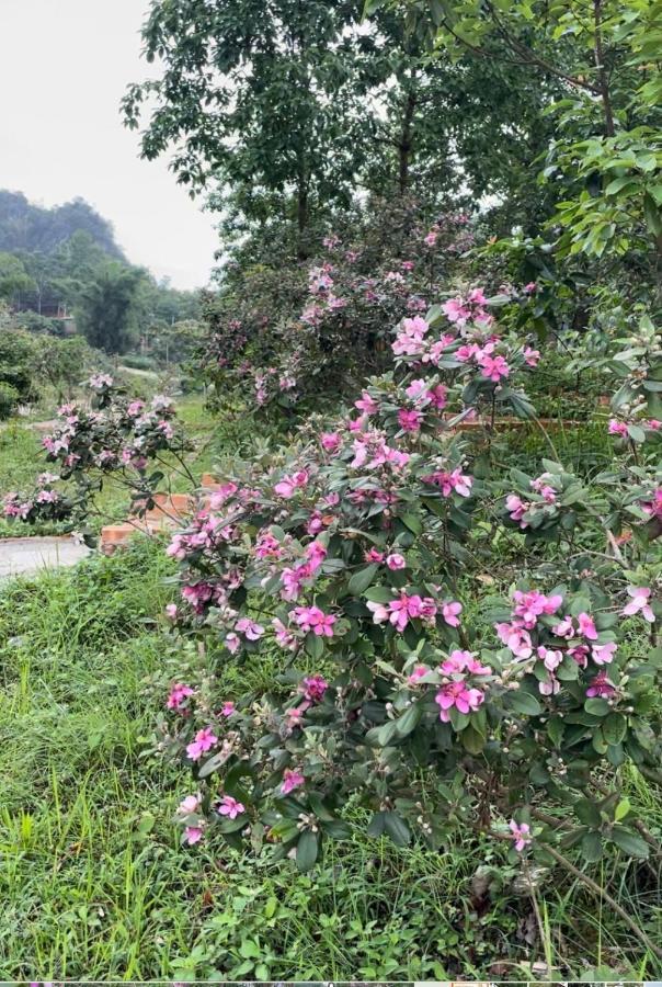 Riverside Homestay กาวบั่ง ภายนอก รูปภาพ